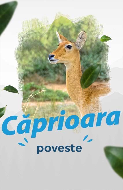 Căprioara, poveste de Emil Gârleanu