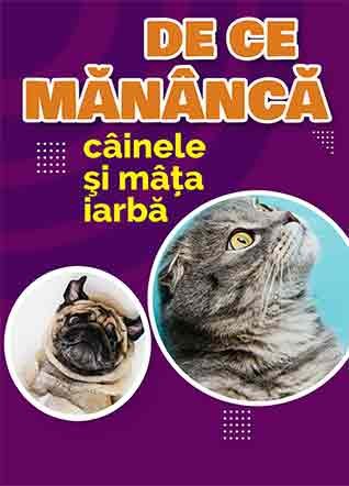 De ce mănâncă câinele și mâța iarbă